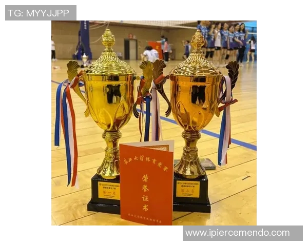 成都排球队展现卓越灵活性荣登全国排球灵活性排行榜第二名