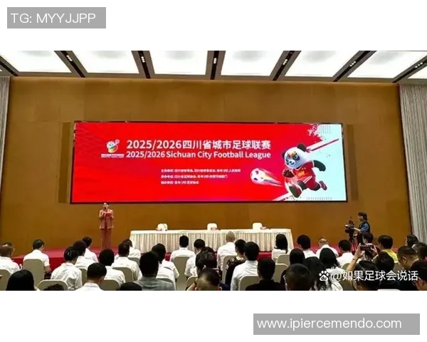 成都足球队在城市联赛中的实力分析与表现评估