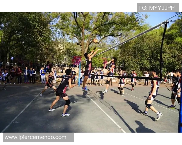 武汉排球队在全国排球比赛经验排行榜中荣登第五名展现强大实力与潜力 武汉排球队在全国排球比赛经验排行榜中荣登第五名展现强大实力与潜力