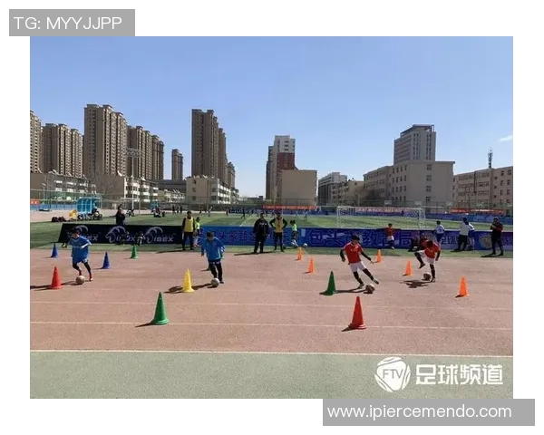 南京足球队在精英赛中的战术表现分析与总结 南京足球队在精英赛中的战术表现分析与总结