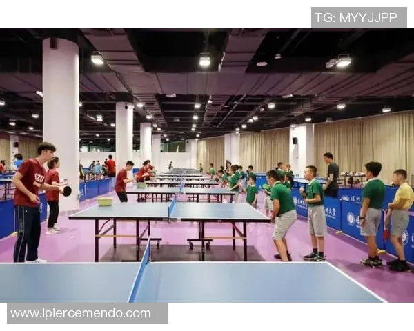 深圳乒乓球队状态深度对比分析及未来发展趋势探讨 深圳乒乓球队状态深度对比分析及未来发展趋势探讨