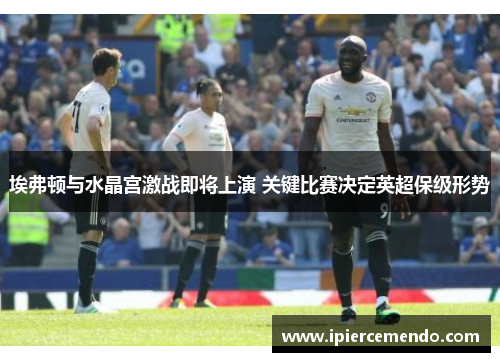 埃弗顿与水晶宫激战即将上演 关键比赛决定英超保级形势