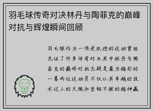 羽毛球传奇对决林丹与陶菲克的巅峰对抗与辉煌瞬间回顾
